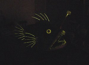 lanternfish